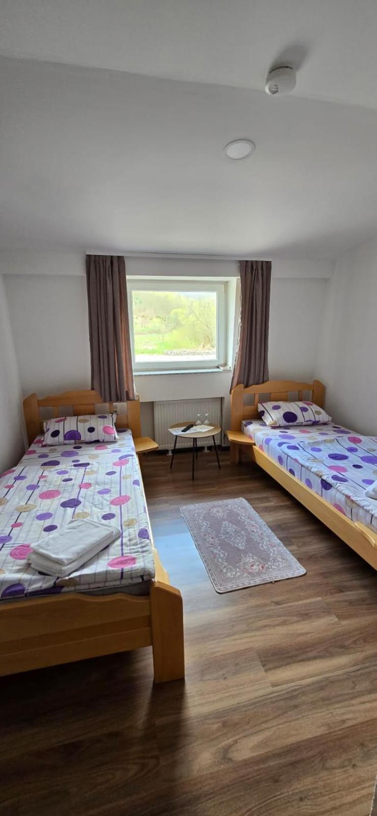 Motel "Kula" ツァジン エクステリア 写真